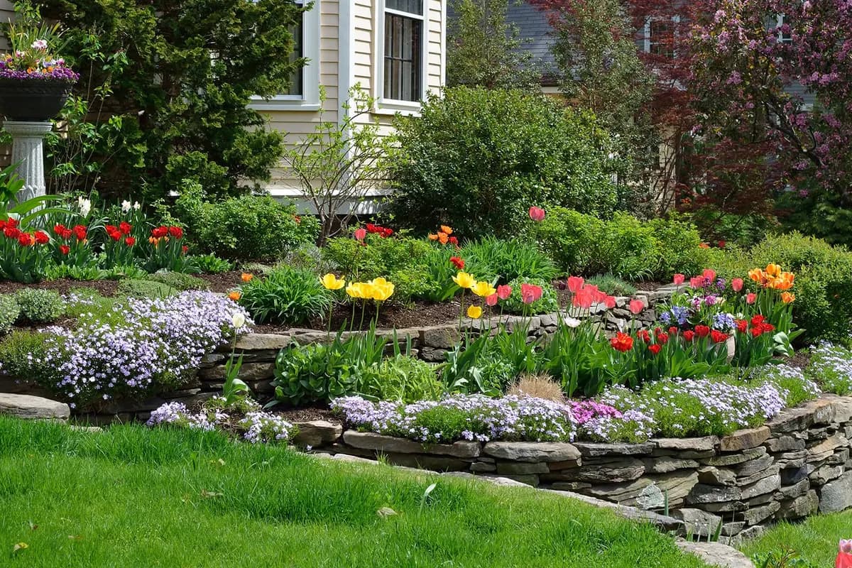 Front garden and curb appeal