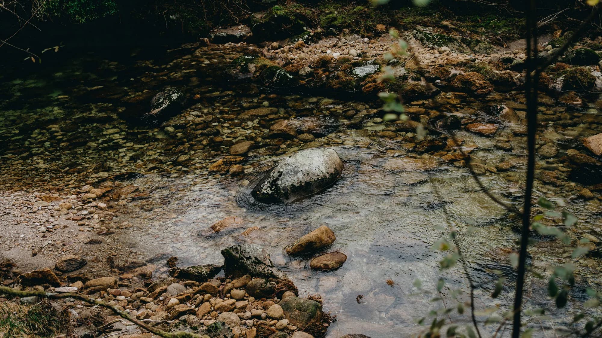 A river running over rocks through wooded country