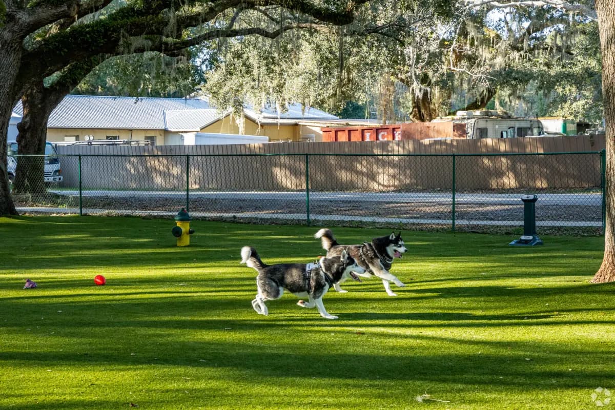 Dog park at Minneola Trailhead Park, Florida