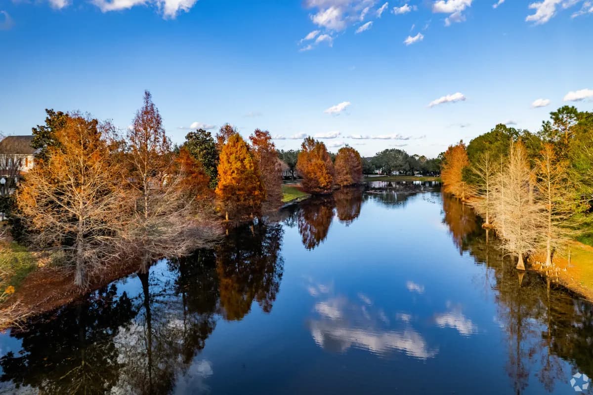 Green space in Baldwin Park, Orlando