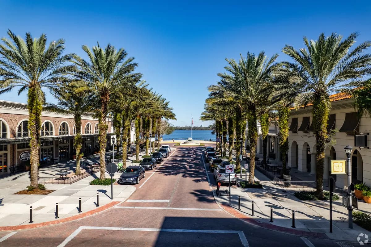 Palm tree lined street in Baldwin Park, Orlando