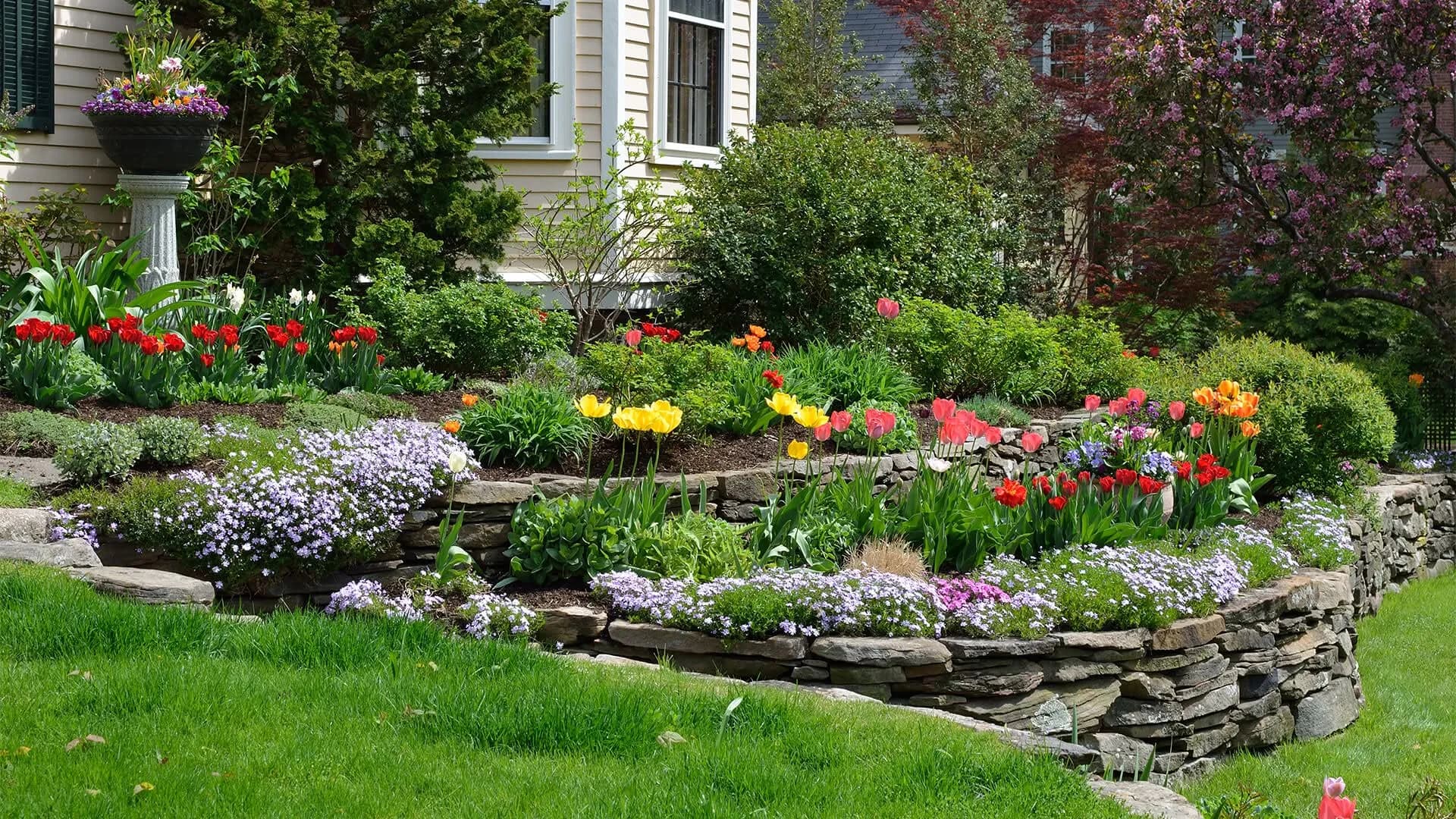 Front garden and curb appeal of a Central Florida home
