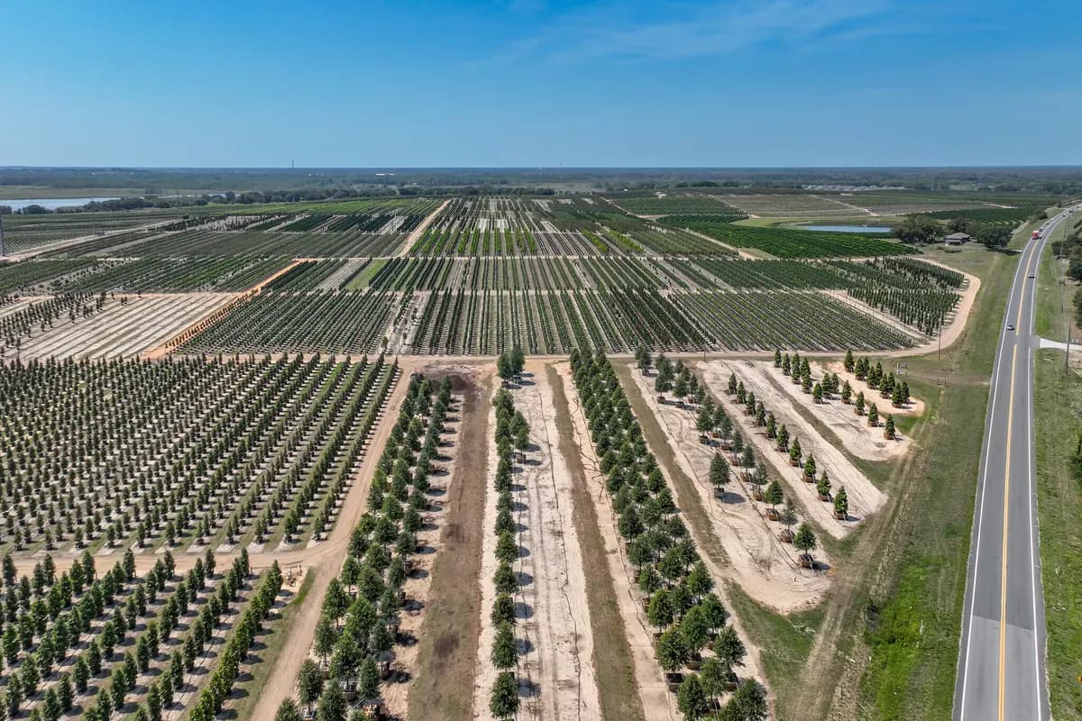 Green space and farmland around Groveland, Florida