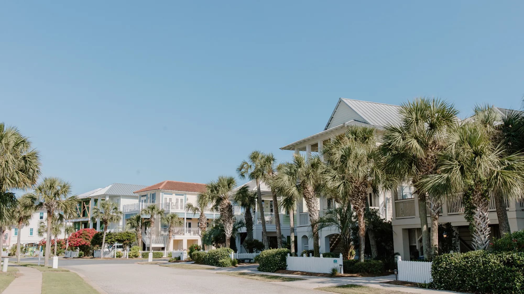 A suburban street lined with palms and modern houses