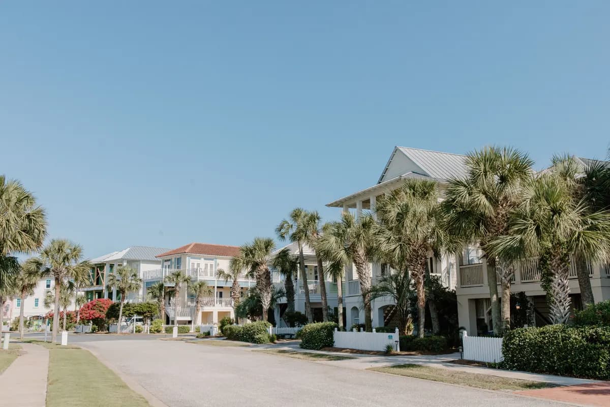 A suburban street lined with palms and modern houses