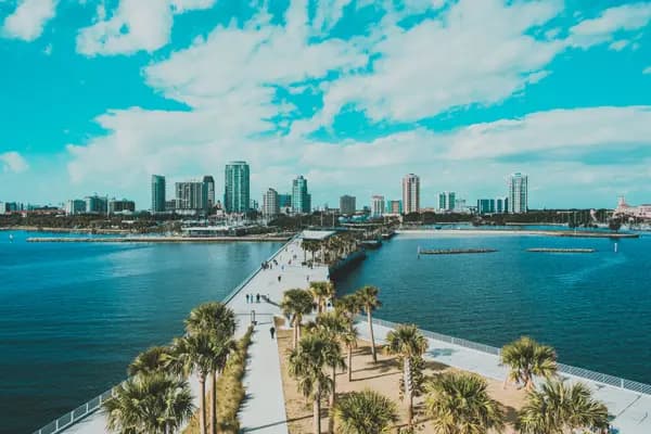A Florida coastal city with its pier and palms, from above