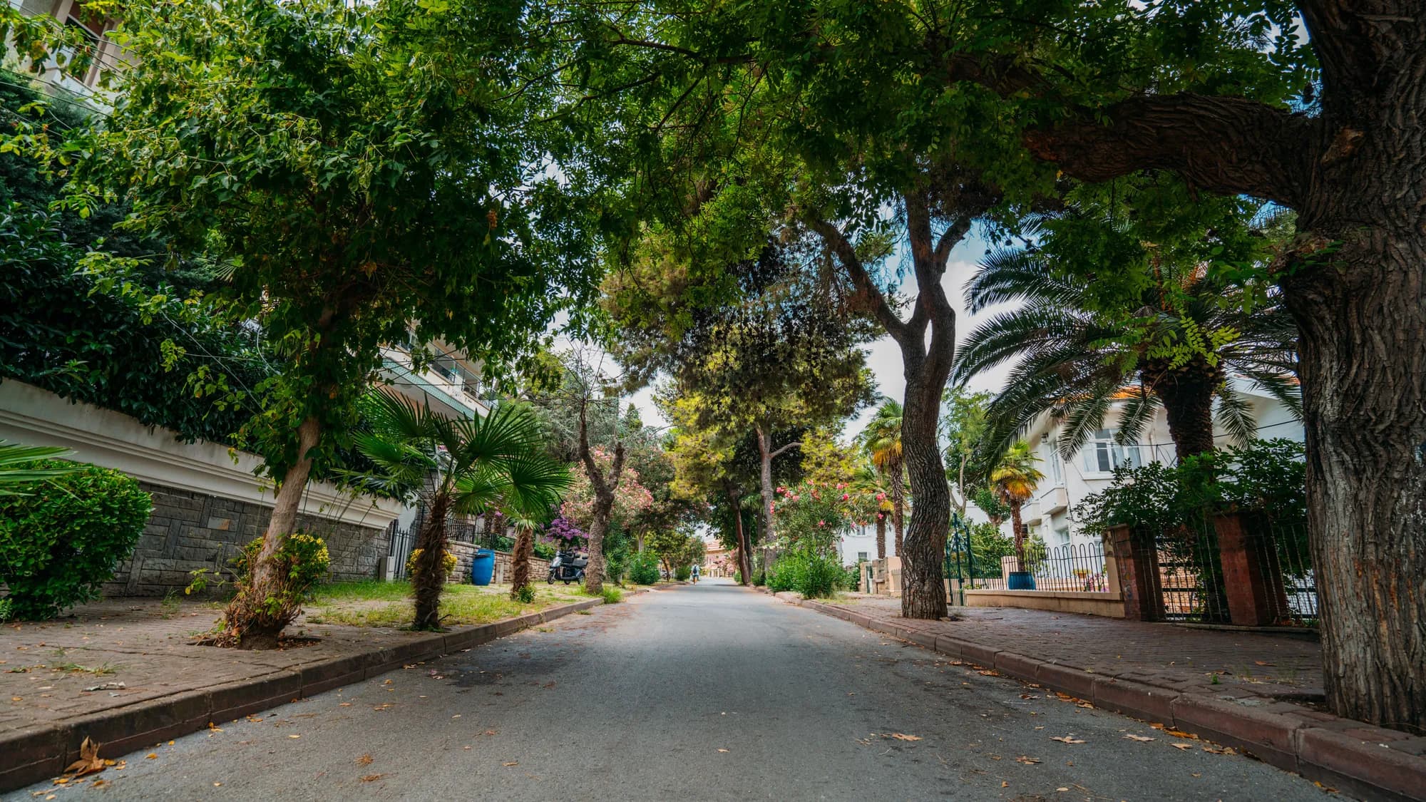 Housing in Alachua County, Florida